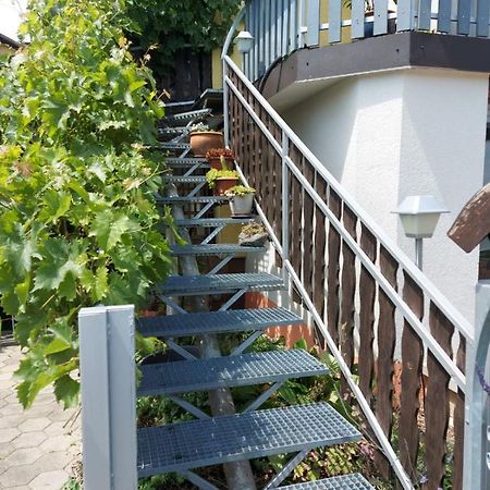 Apartma Reich Διαμέρισμα Πτούι Εξωτερικό φωτογραφία