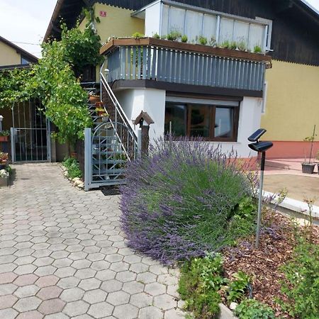 Apartma Reich Διαμέρισμα Πτούι Εξωτερικό φωτογραφία