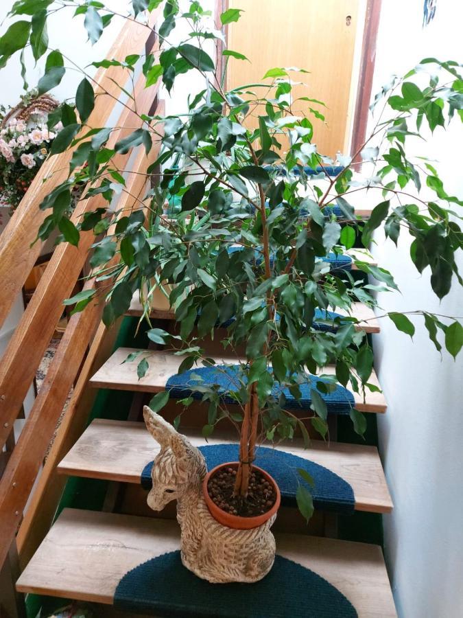 Apartma Reich Διαμέρισμα Πτούι Εξωτερικό φωτογραφία