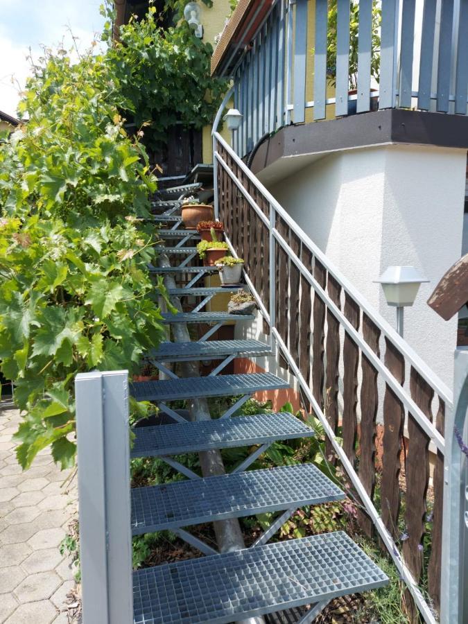 Apartma Reich Διαμέρισμα Πτούι Εξωτερικό φωτογραφία
