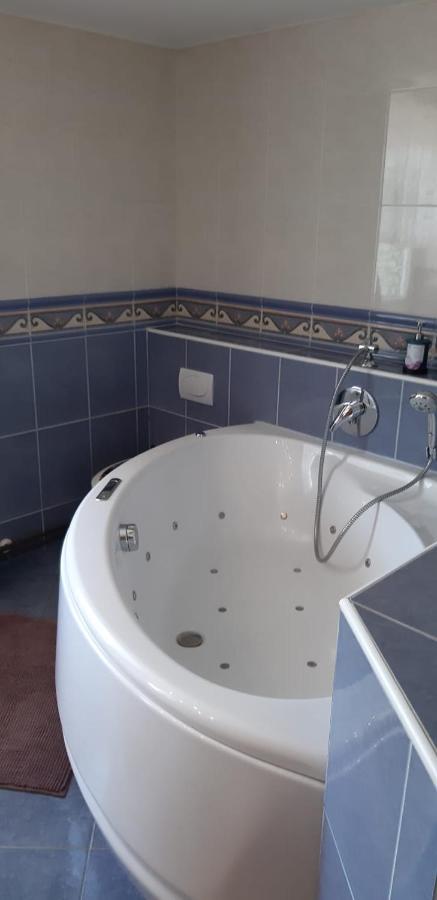 Apartma Reich Διαμέρισμα Πτούι Εξωτερικό φωτογραφία